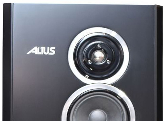 Tonsil Altus 280 - cecha 1